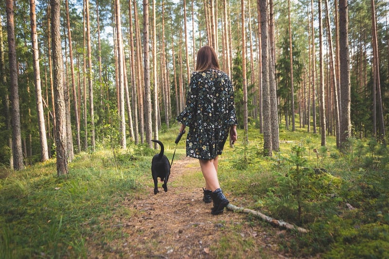 Pursuing Personal Growth